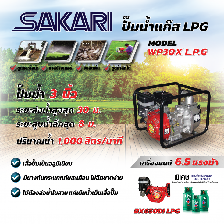 เครื่องสูบน้ำแก๊ส WP30X LPG